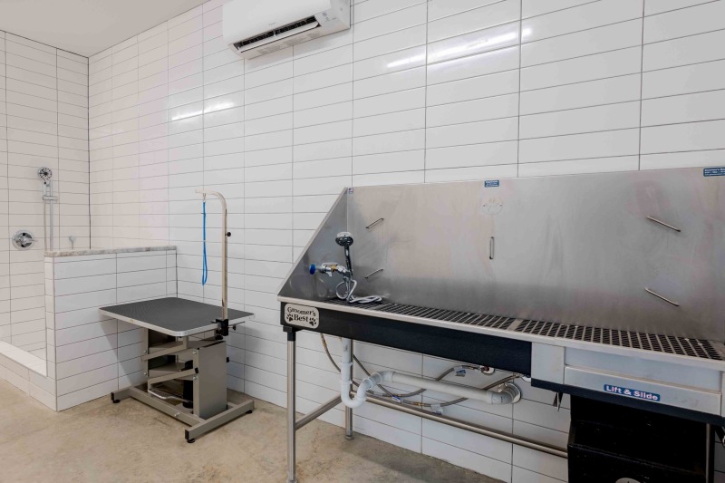 a pet bathing and grooming area