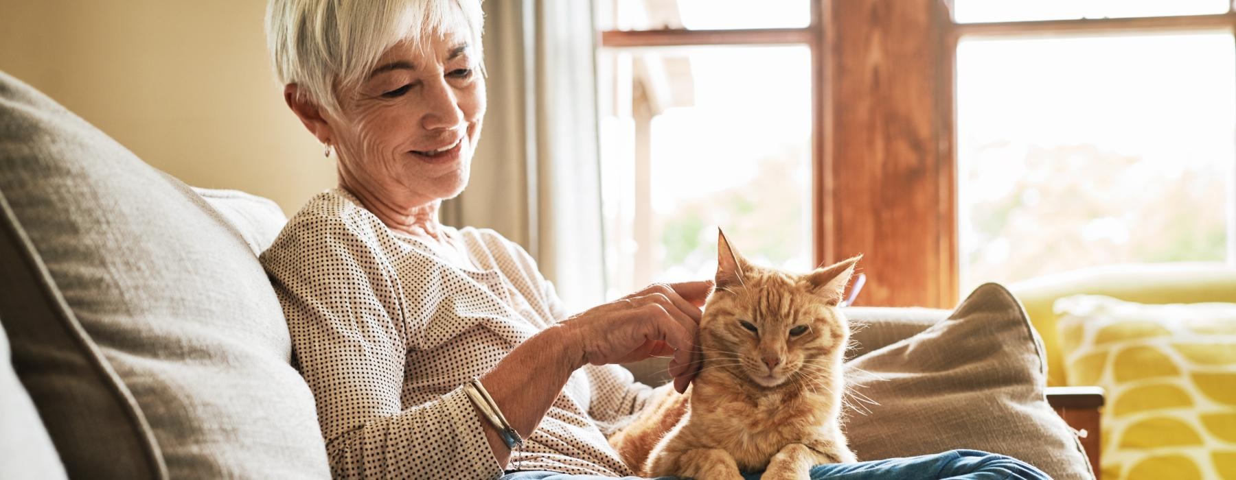 a person holding a cat